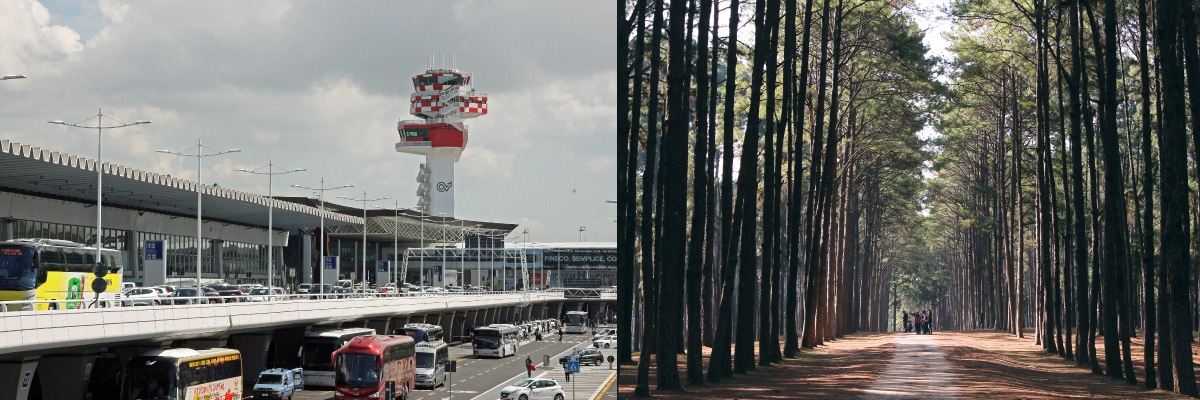 Trasferimenti NCC da aereoporto a Fabulous